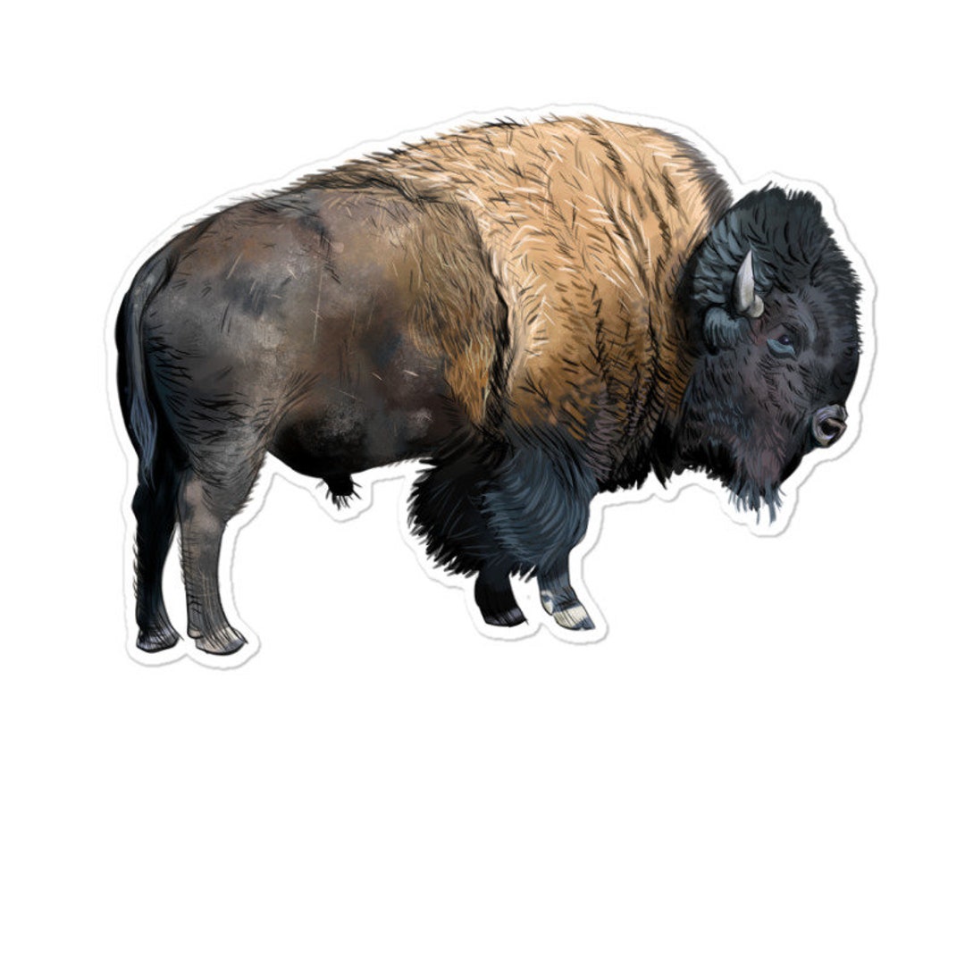 Bison Buffalo Sticker - Etsy