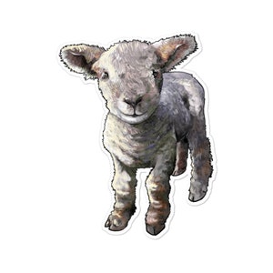 Southdown Baby Sheep Sticker