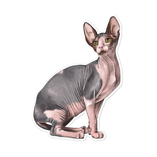 Sphynx Cat Sticker