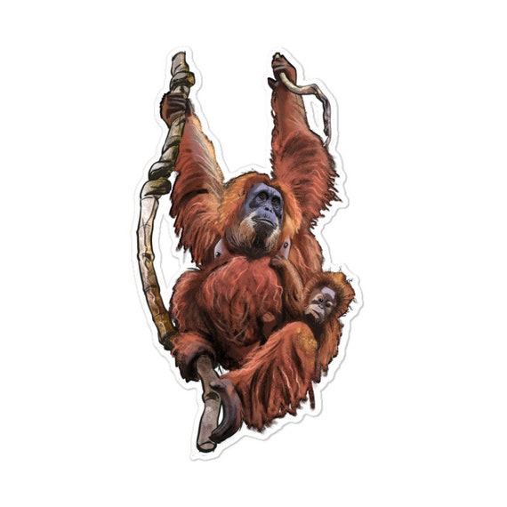 Orangutan and Baby Sticker - Etsy
