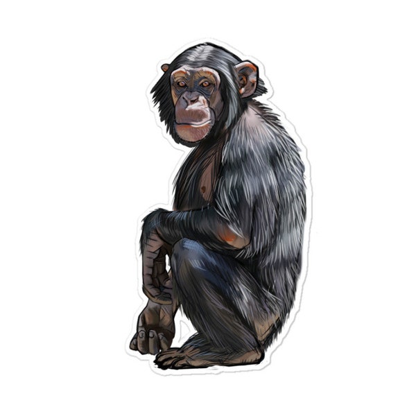 Chimpanzee Sticker - Etsy