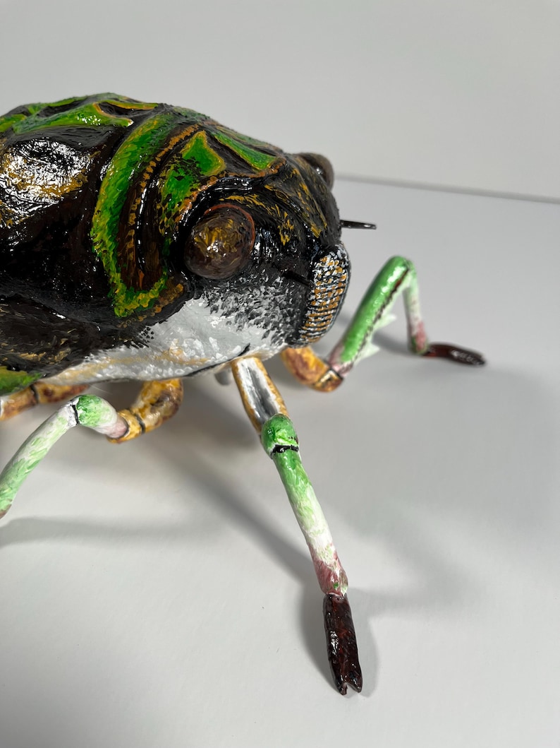Cicada Sculpture, 12 Inches Long - Etsy