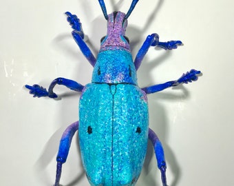 Glitter Weevil