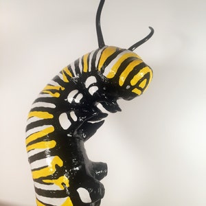 May include: A black and yellow striped caterpillar figurine with white accents. The caterpillar is curled up in a C shape with its head and tail pointing upwards.