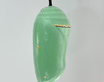 Monarch Chrysalis Sculpture, 12 3/8" for INDOOR/OUTDOOR Display, Acrylic Painted Urethane Resin (12 3/8")