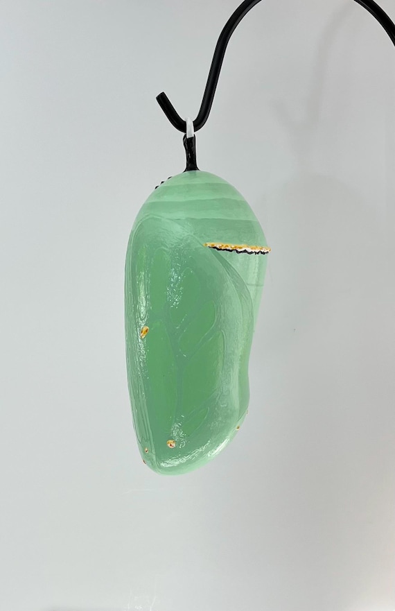 Monarch Chrysalis Sculpture, 12 3/8" for INDOOR/OUTDOOR Display, Acrylic Painted Urethane Resin (12 3/8")