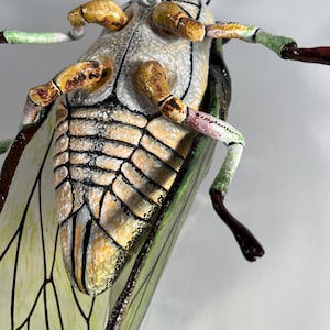Cicada Sculpture, 12 Inches Long - Etsy
