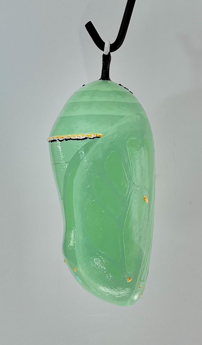 Monarch Chrysalis Sculpture, 12 3/8" for INDOOR/OUTDOOR Display, Acrylic Painted Urethane Resin (12 3/8") 画像 2