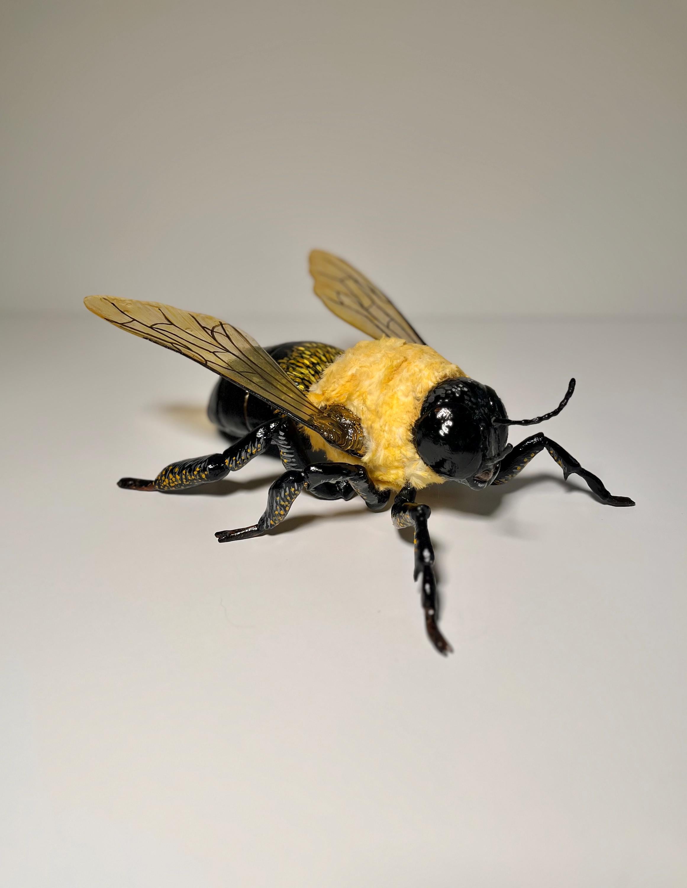 Eastern Carpenter Bee Sculpture, 10" long, Made of Wood, Metal, Plastic, Polymer Clay, Textile