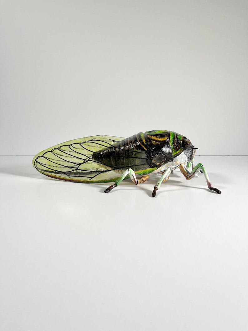 Cicada Sculpture, 12 Inches Long - Etsy