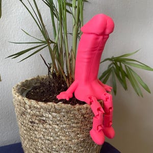 Amigo descarado para maceta, divertido y original adorno para estante.