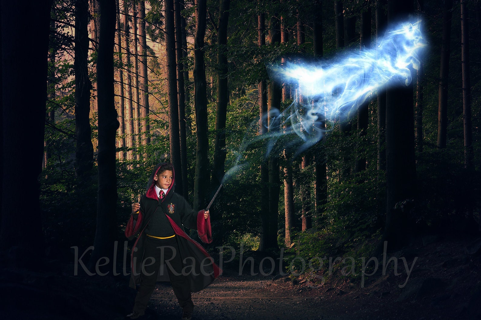 HARRY POTTER DIGITAL background patronus harry potter | Etsy