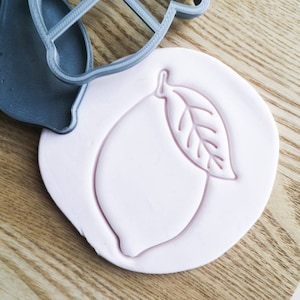 May include: A pink clay imprint of a lemon with a leaf. The lemon is outlined and the leaf has veins.