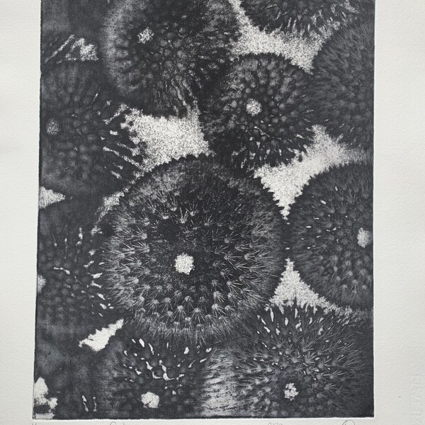 Solar Plate Etching Etsy