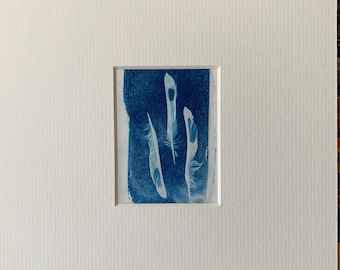 Cyanotype print