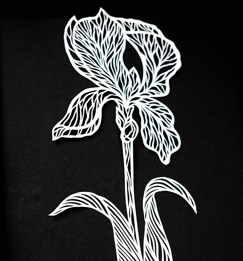 Paper Cut Art Iris Flower Hand Cut Paper Art Flower Floral Etsy