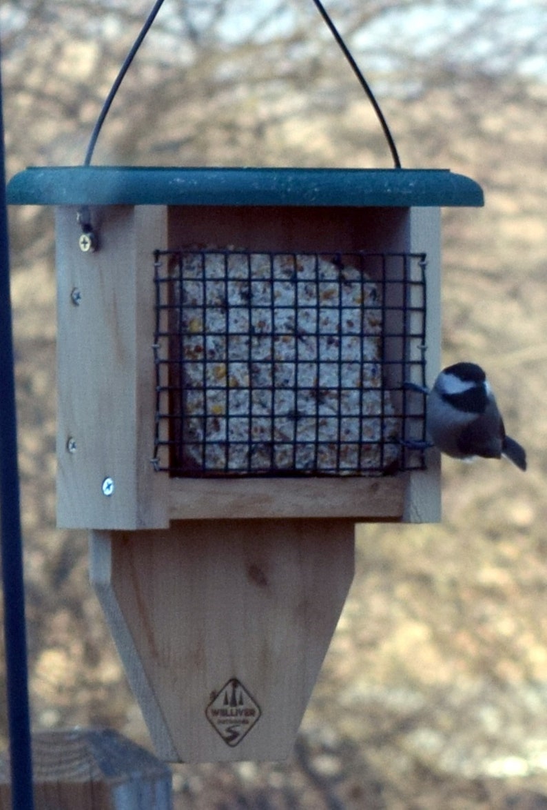 Tail Prop Suet Bird Feeder Etsy