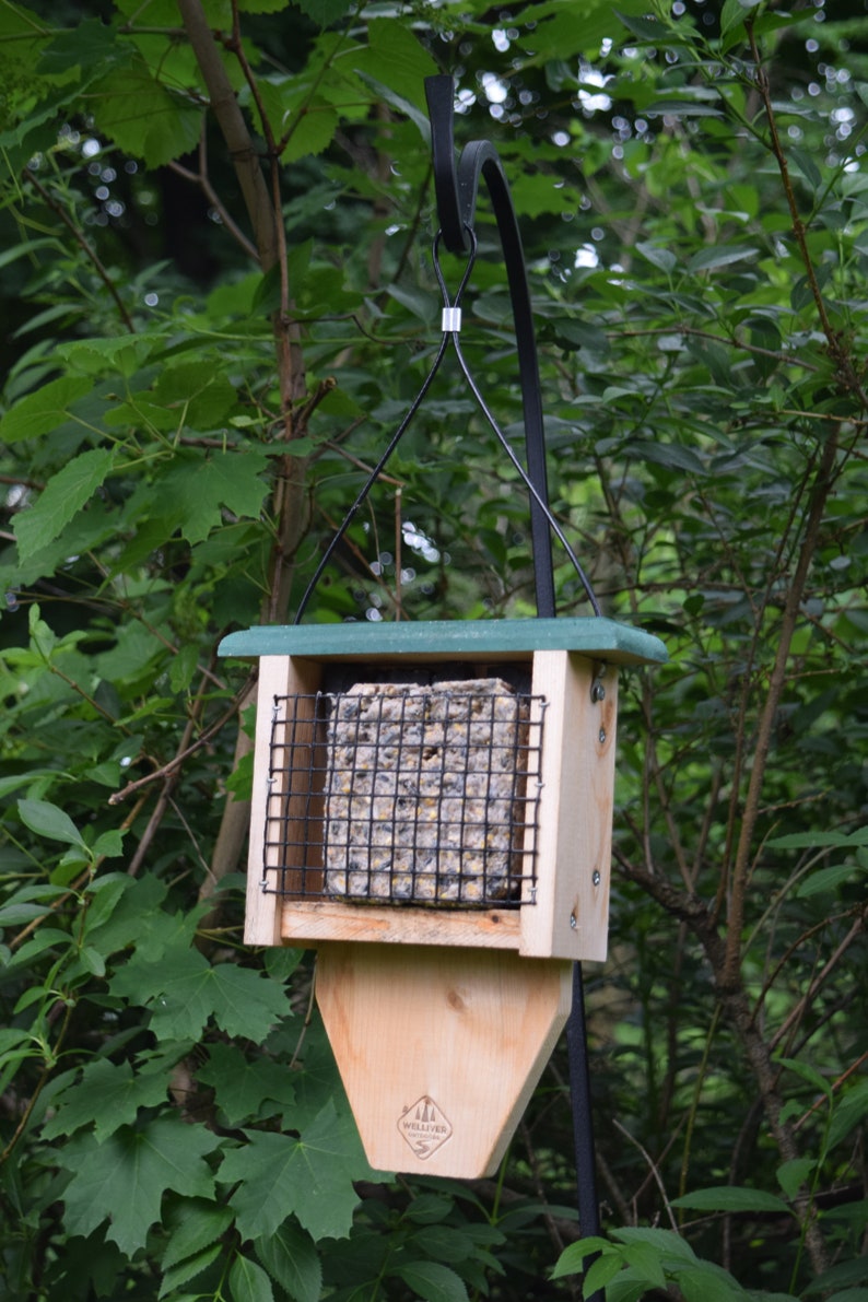 Tail Prop Suet Bird Feeder Etsy