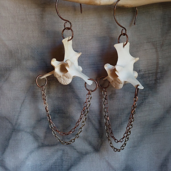 Cintres pour oreilles vertèbres de cerf énormes de calibre 14, Cintres d'oreilles en os brutalistes, Cintres d'oreilles pour vertèbres de cerf énormes mais légers de calibre 14