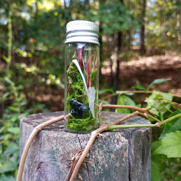 Mystery Forest Curio Vial, Oddities & Curiosities in a Bottle, Forest Confetti Bottle