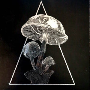 Trilogia dei funghi Acquaforte originale