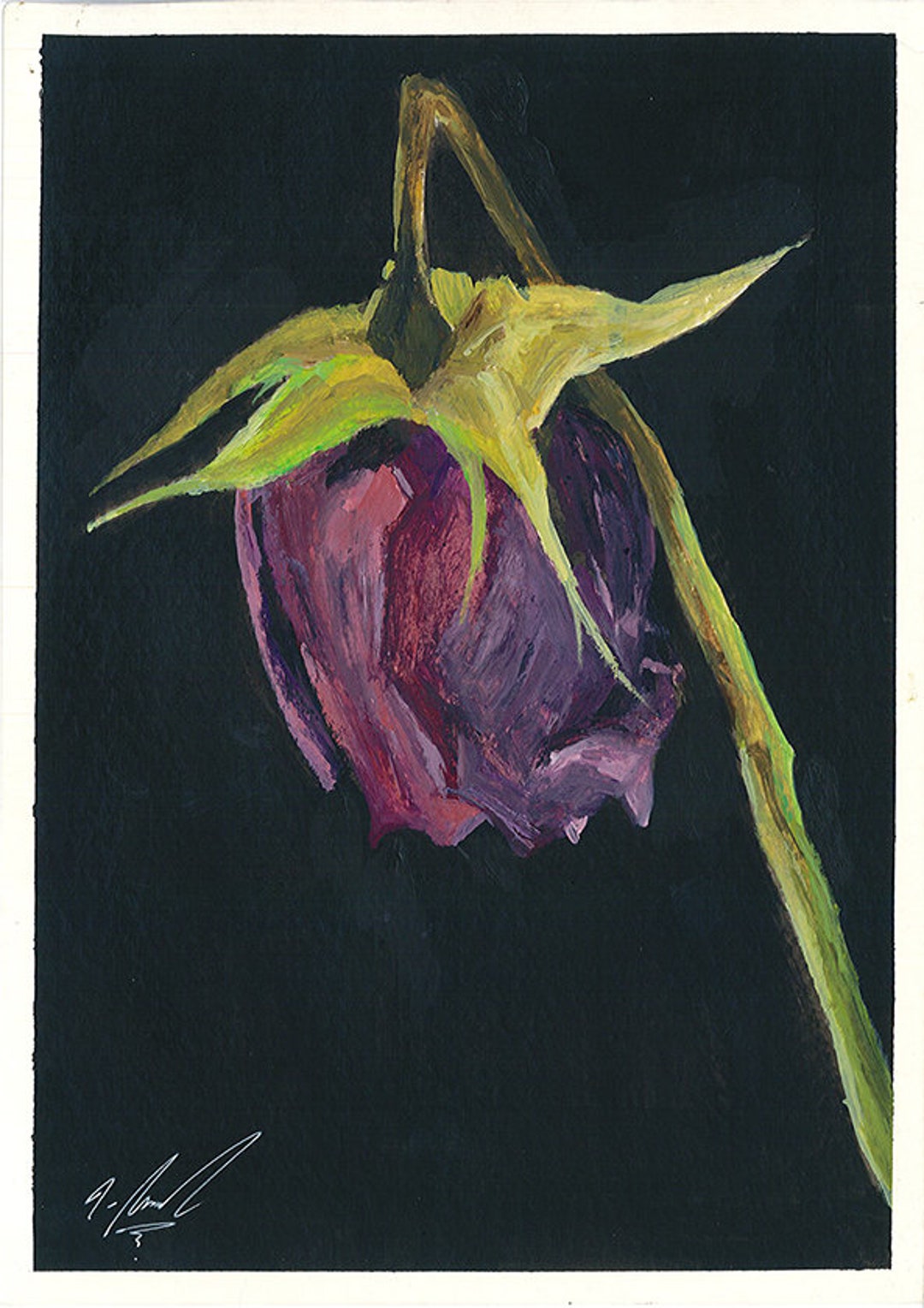 Original Oil Dead Flower Painting Etsy