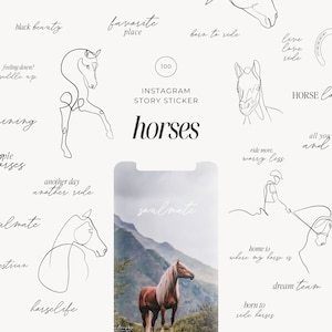 100 Equestrian Horses Instagram Story Sticker: riding digital download png letterings words quotes white black set watercolor clipart foal