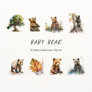 15 Baby Bear Clipart PNG: Forest, Cute Animals, Commercial License, Bundle, Nursery Wall Art, Digital, Woodland, Watercolor, Digital Pack