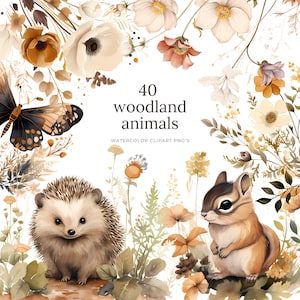 40 imágenes prediseñadas de acuarela de animales del bosque: imágenes prediseñadas de animales del bosque, decoración de vivero, oso, zorro, búho, erizo, conejo, ciervo bebé, png de otoño