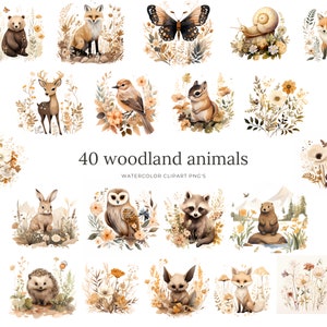 40 Woodland animals watercolor clipart: forest animals clip art, nursery decor, bear, fox, owl, hedgehog, rabbit, baby deer, autumn png