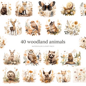 40 clipart aquarelle animaux de la forêt : clipart animaux de la forêt, décor de pépinière, ours, renard, hibou, hérisson, lapin, bébé cerf, automne png