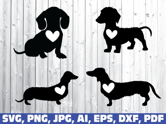 Daschund Svg Weiner Dog Svg Dog Lover Svg Dog Svg | Etsy