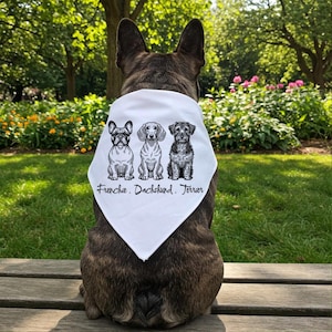 Pet Bandana, Subtle anti Trump dog Bandana, Political Protest accessories for Dogs/Cats, Activist Dog Lady Gift, Pets against fascism