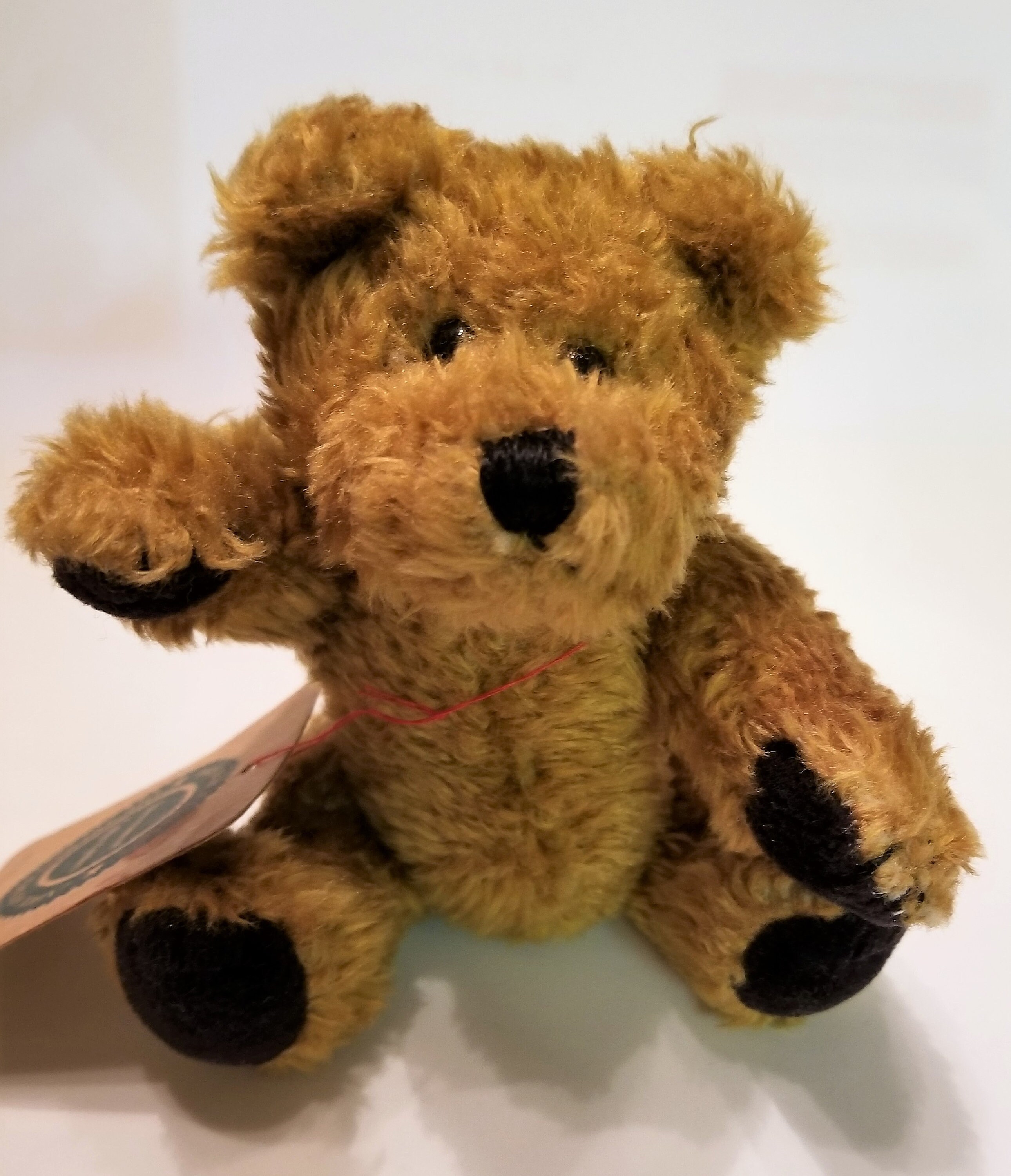 Percy Bear - Etsy