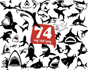 Free Free Shark Svg Etsy 56 SVG PNG EPS DXF File