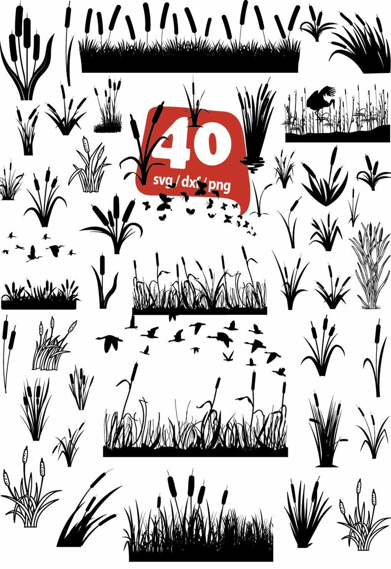 Download Cattail SVG Bulrush Plant Svg Bundle Cattail Flower svg | Etsy