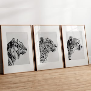 May include: Three black and white framed prints of animal portraits. The prints feature a tiger, a leopard, and a cheetah, each looking to the right. The frames are a light wood colour.