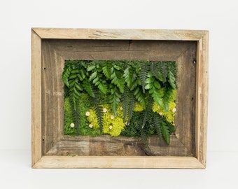 Rustic Moss Art - Real Preserved Moss ~ Real Preserved Ferns ~ 8" x 10"