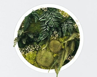 Circle Moss Wall Art - Real Preserved Moss ~ Real Preserved Ferns ~ 15"