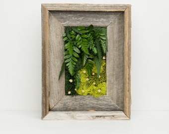 Rustic Moss Art - Real Preserved Moss ~ Real Preserved Ferns ~ 7" x 9"