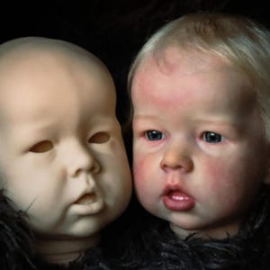 Reborn toddler Liam by Bonnie Brown (custom made micro rooted hair)
