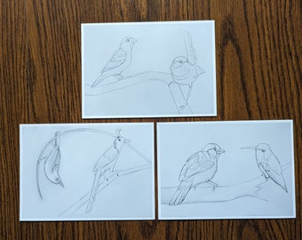 Birds | sketch art | postcard print
