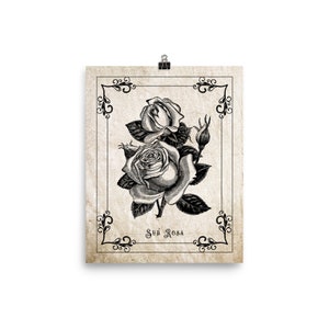 May include: A black and white illustration of a rose with the text "Sub Rosa" printed below it. The image is framed with a decorative border.