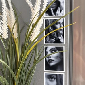 a close-up of a plant with long, thin leaves and a collection of black and white photographs of women's faces, arranged in a vertical line on a wall.