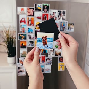 A set of custom fridge magnets on a wooden background, demonstrating the vibrant color reproduction and clarity