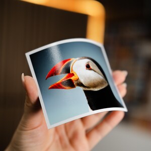 Photo Magnets Pet Lover Gift Fridge Photo Decor Magnetic Photo Printing Personalized Magnets Refrigerator or Dishwasher Magnet Flexible