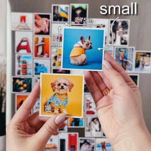 Photo Magnets, Custom Magnets Fridge, Print Photo, Photo Gift for Pet Lover, Personalized Small Photo Magnet, Custom Wallet Size Magnet image 2