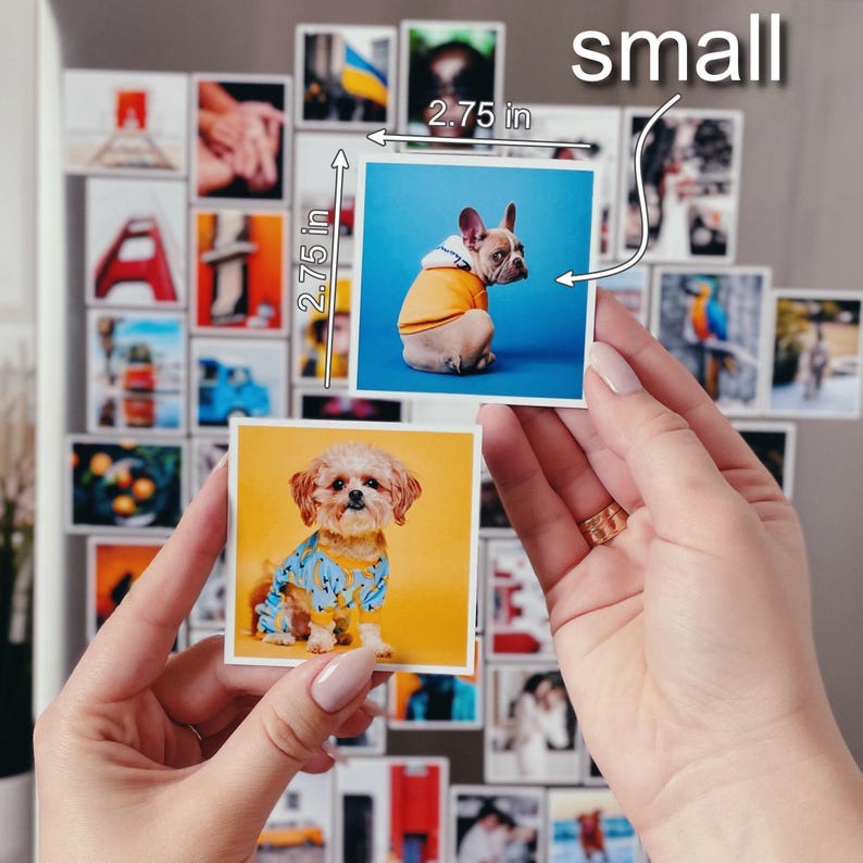 Photo Magnets, Custom Magnets Fridge, Print Photo, Photo Gift for Pet Lover, Personalized Small Photo Magnet, Custom Wallet Size Magnet image 2