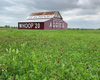 Aggie Barn '19 '20