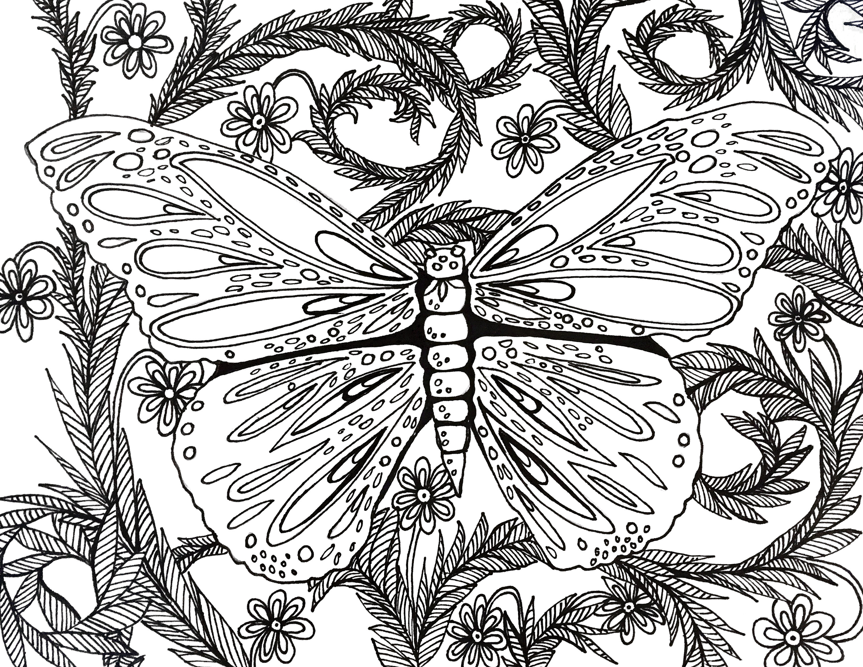 Spring Butterfly coloring page | Etsy